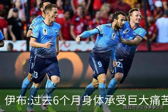 伊布:过去6个月身体承受巨大痛苦 只为帮球队夺冠